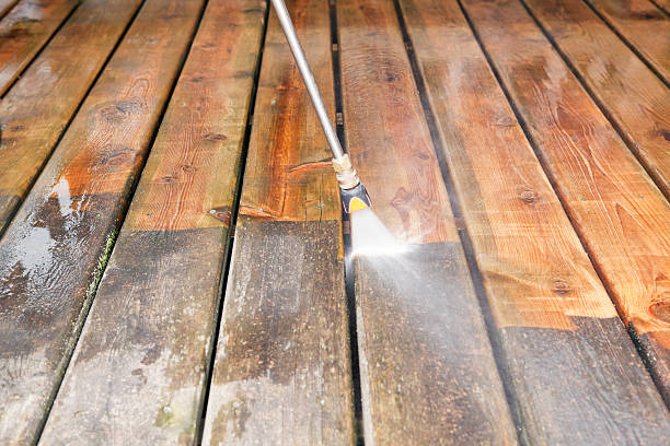 Professional Pressure Washing Services in South Alamo, TX
